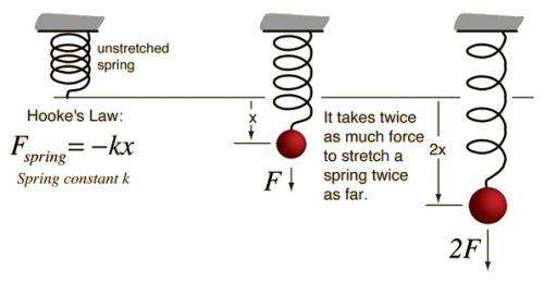 what’s hooke’s law