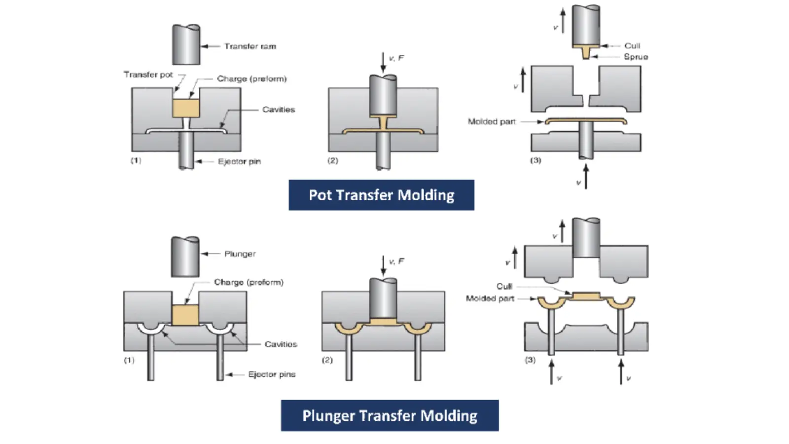 transfer molding process